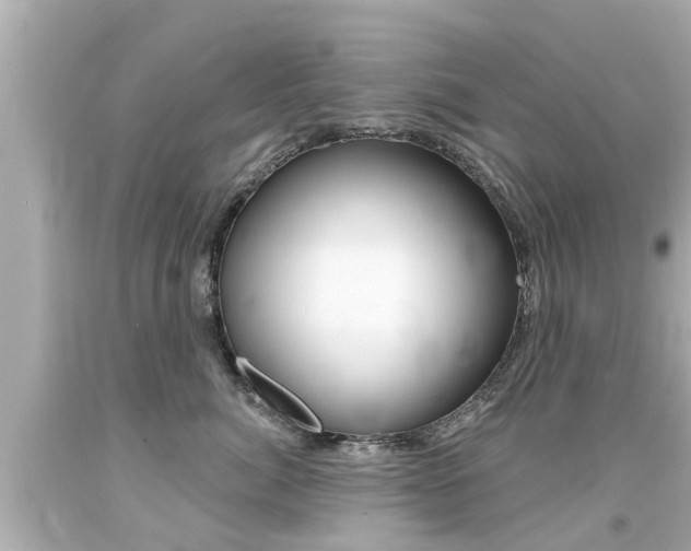 X0000094380764200711020825