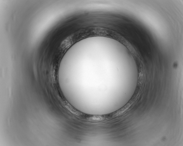 X0000094380765200711020825