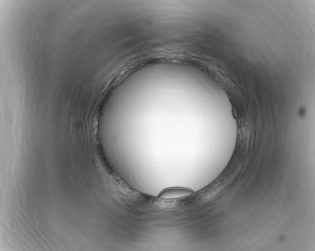 X0000094380767200711020825