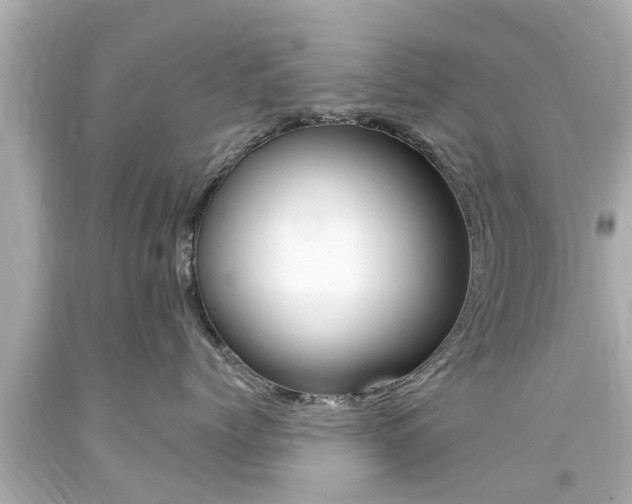 X0000094380768200711020825