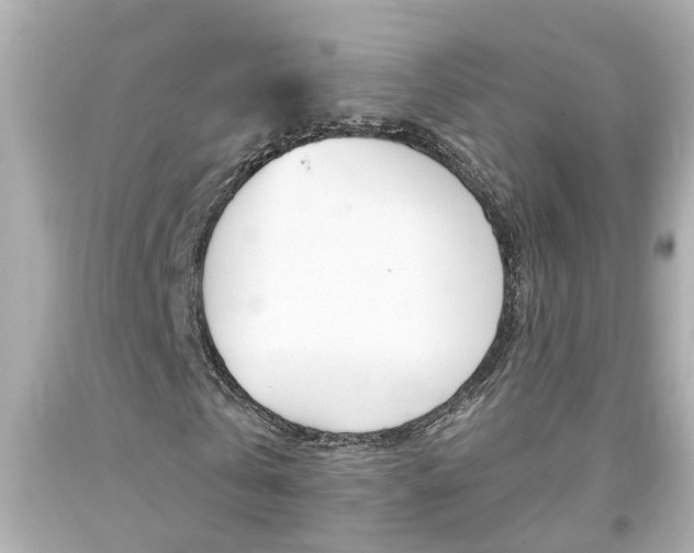 X0000094380769200711020824