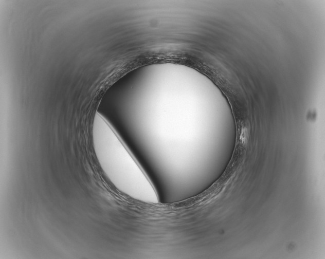 X0000094380771200711020824