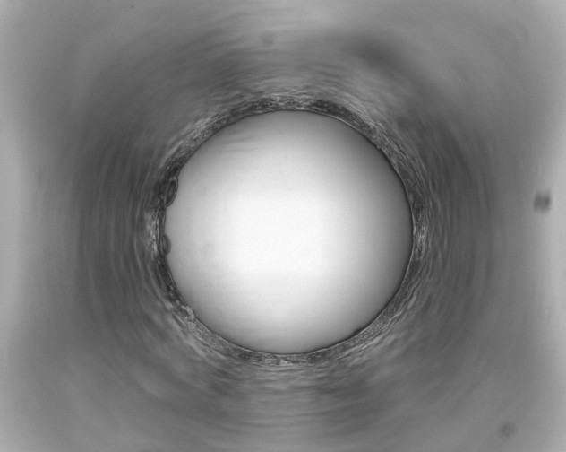 X0000094380772200711020824