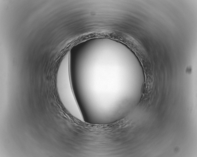 X0000094380773200711020824
