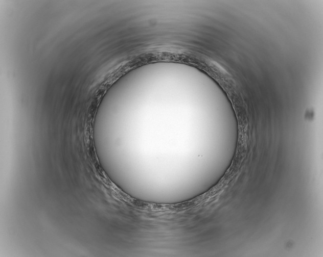 X0000094380774200711020824
