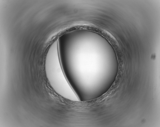 X0000094380775200711020824