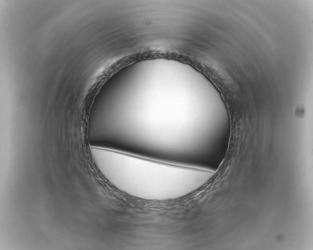 X0000094380776200711020824