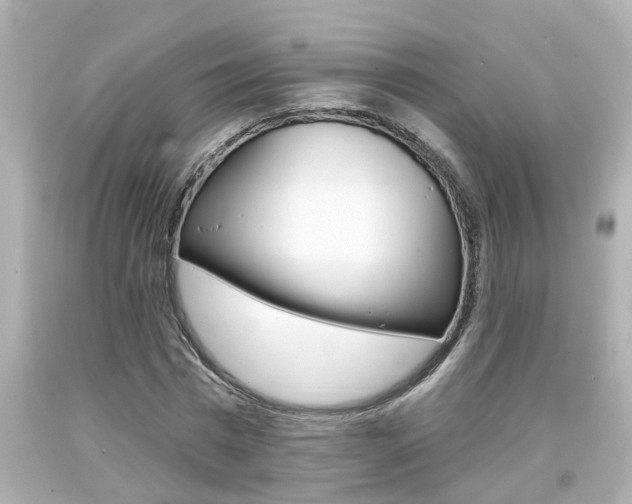 X0000094380777200711020824