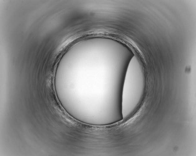 X0000094380778200711020824