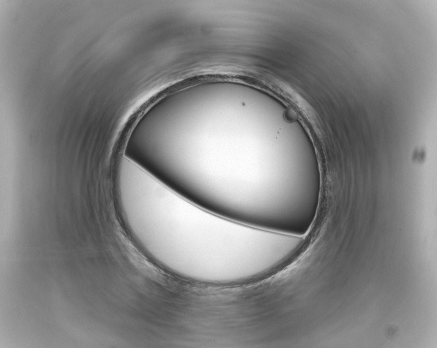 X0000094380779200711020824