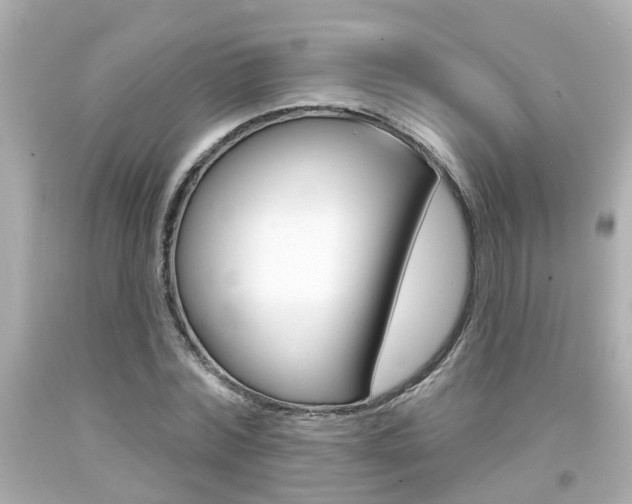 X0000094380780200711020824