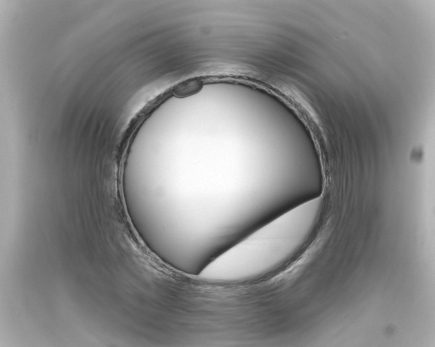 X0000094380781200711020824