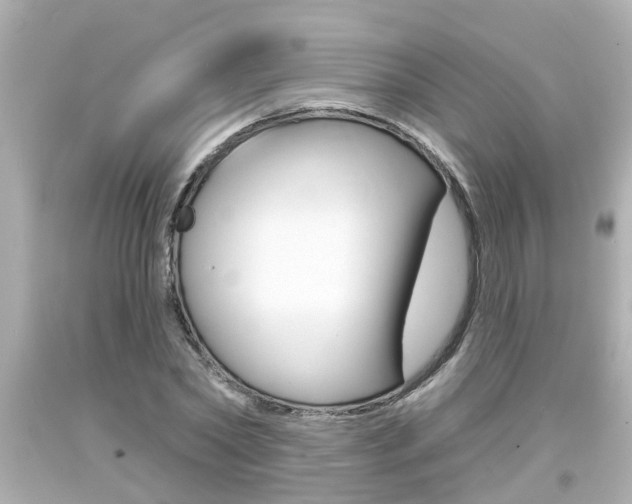 X0000094380782200711020824