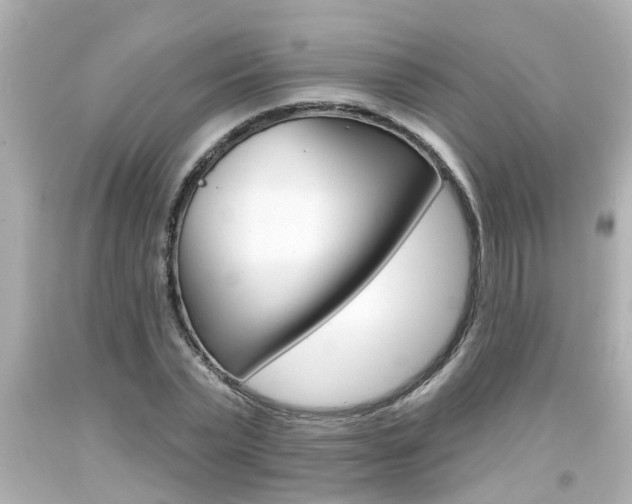 X0000094380783200711020824