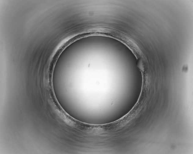 X0000094380784200711020824