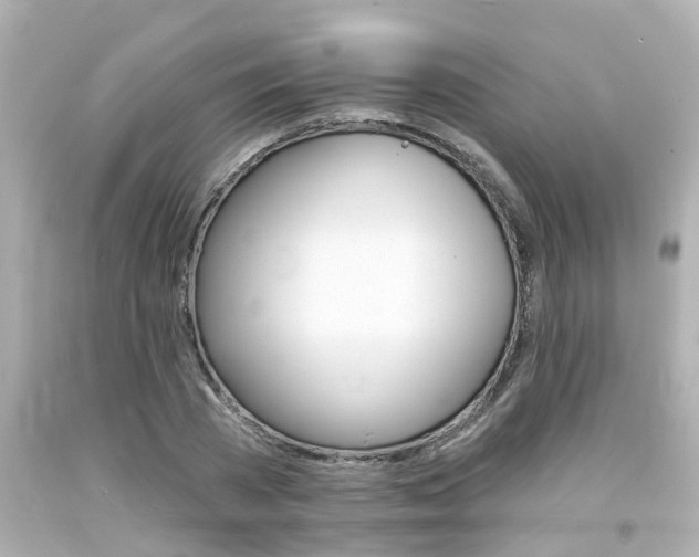 X0000094380785200711020824
