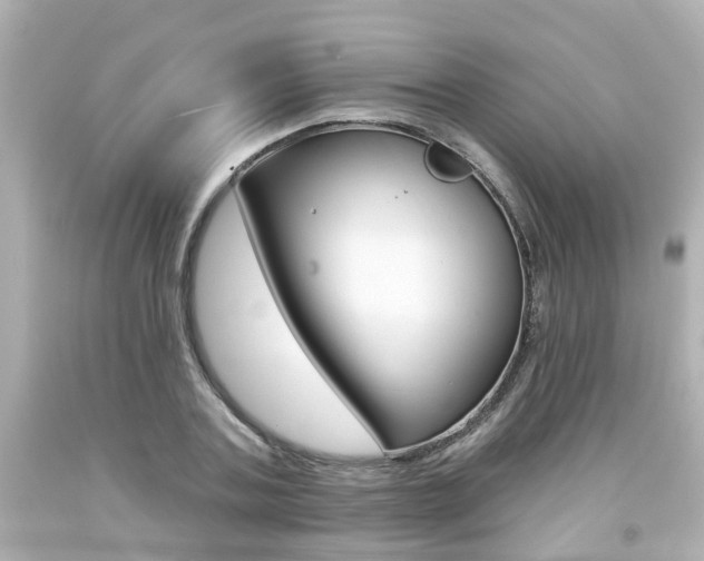 X0000094380787200711020824