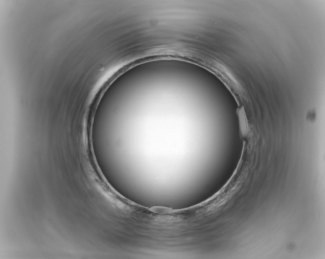 X0000094380788200711020824