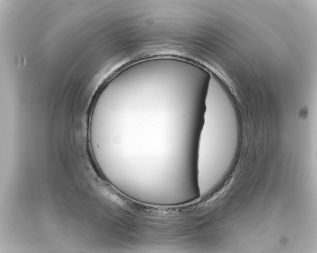 X0000094380790200711020824