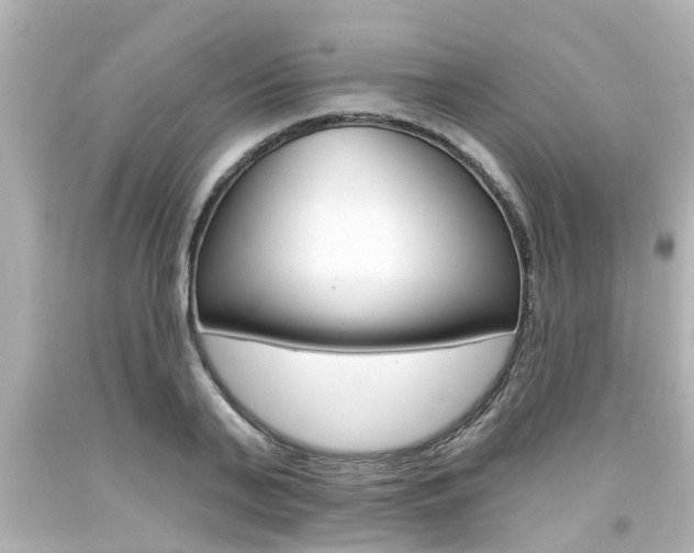 X0000094380791200711020824