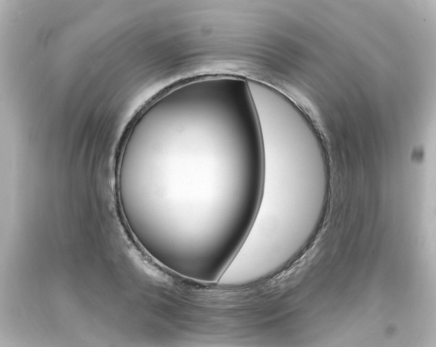 X0000094380792200711020824