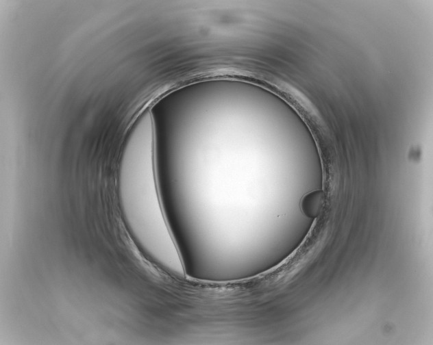 X0000094380793200711020824