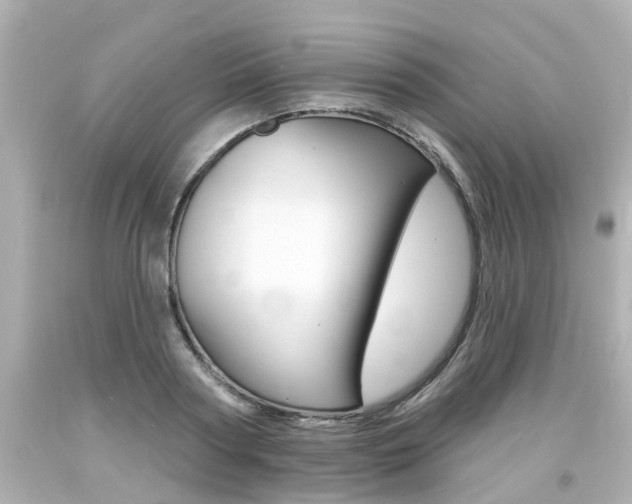 X0000094380794200711020824