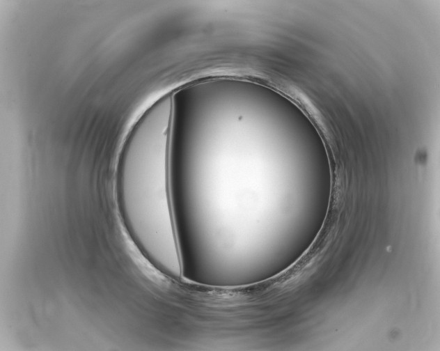 X0000094380795200711020824