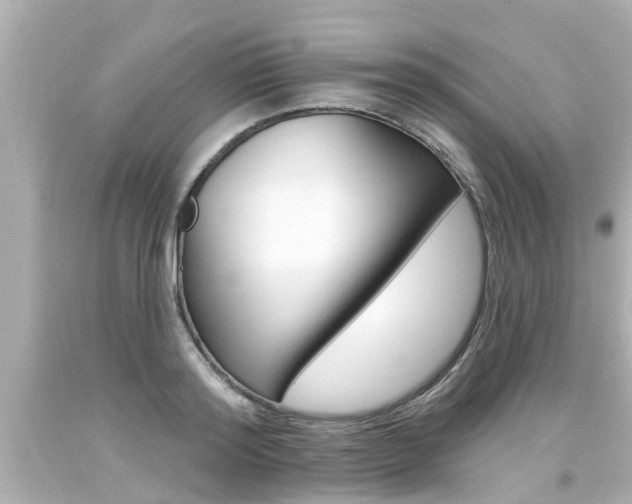 X0000094380796200711020824