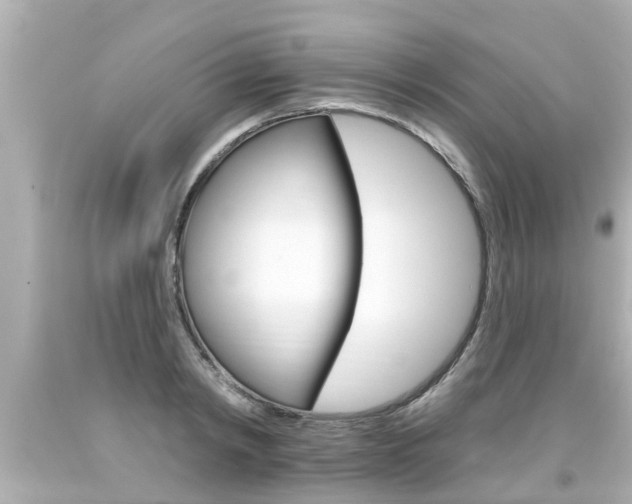 X0000094380798200711020824