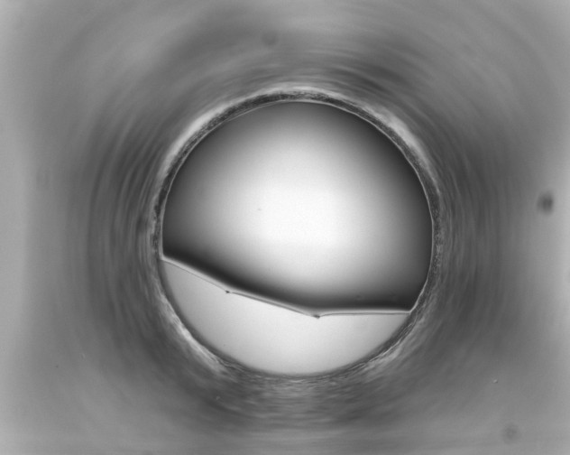 X0000094380799200711020824