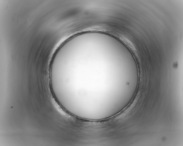 X0000094380800200711020824