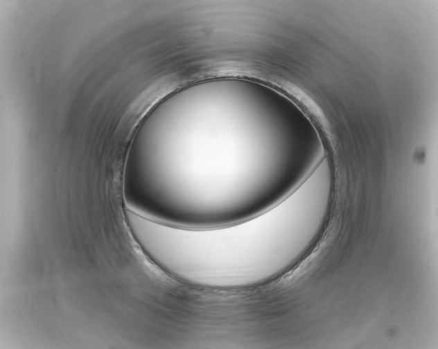 X0000094380801200711020824