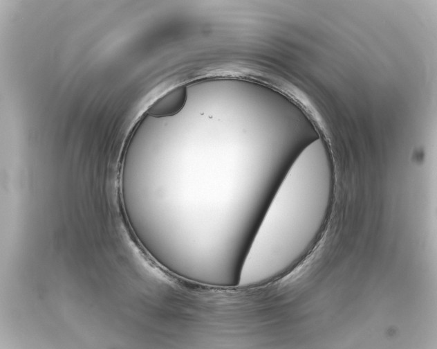 X0000094380802200711020824