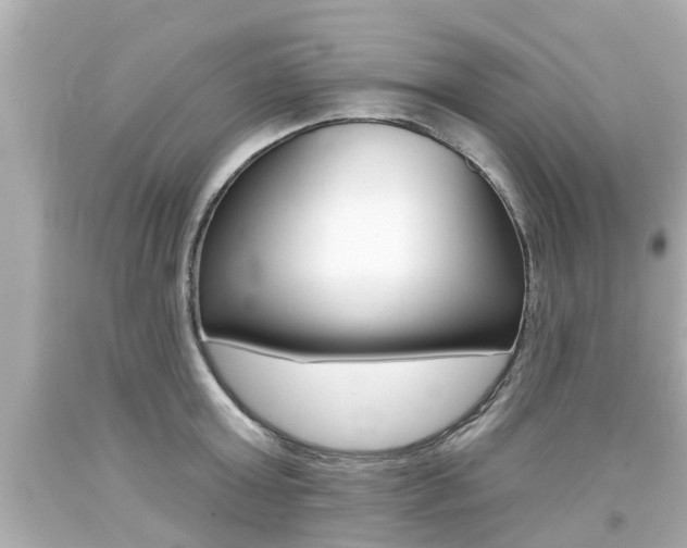 X0000094380803200711020824