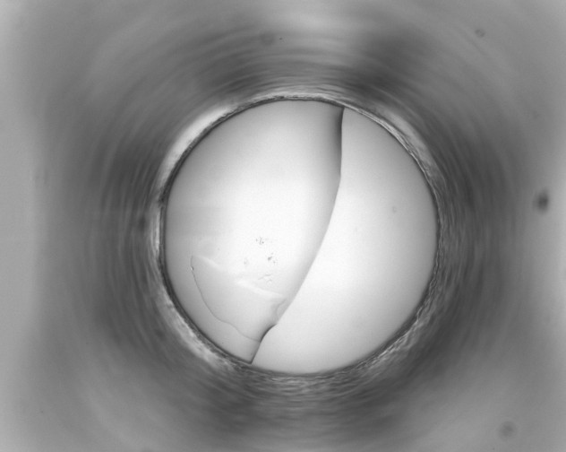 X0000094380804200711020824