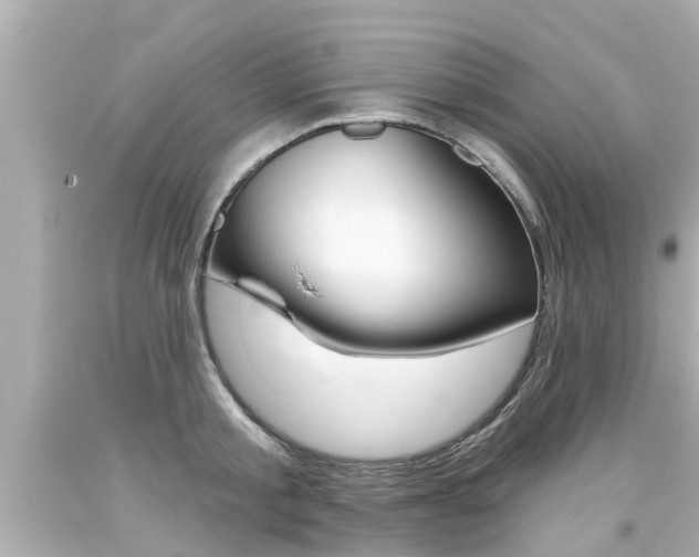 X0000094380805200711020824