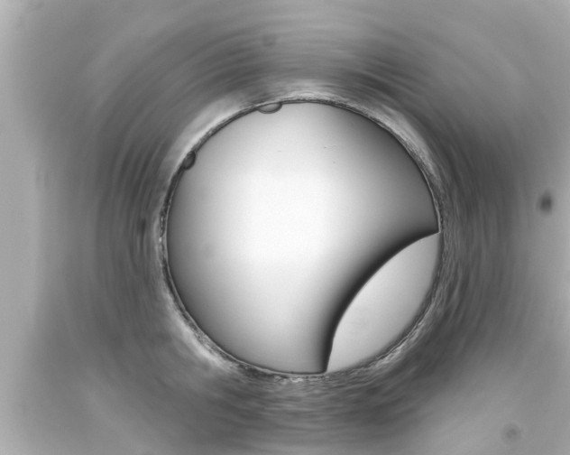 X0000094380806200711020824