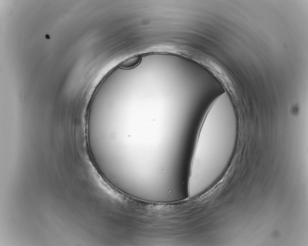X0000094380808200711020824