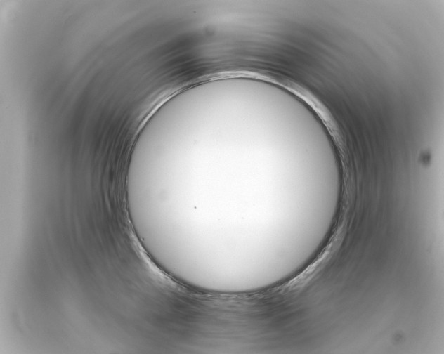 X0000094380809200711020824