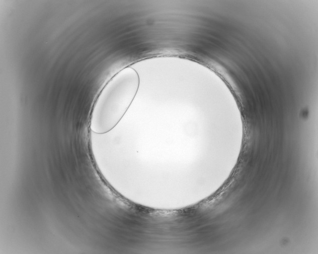 X0000094380810200711020824