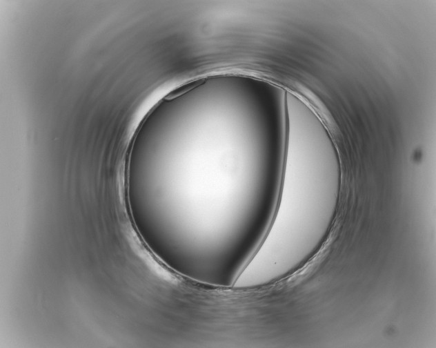 X0000094380812200711020824