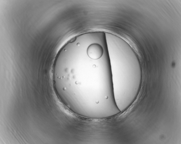 X0000094380814200711020824