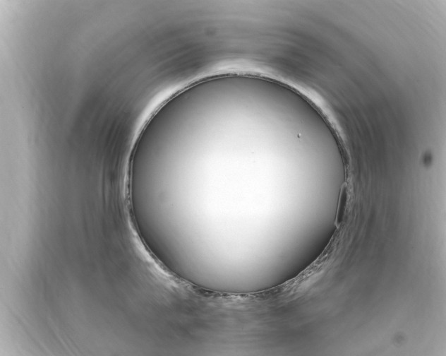 X0000094380815200711020824