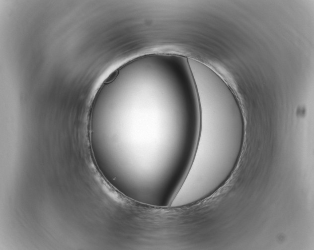 X0000094380816200711020824