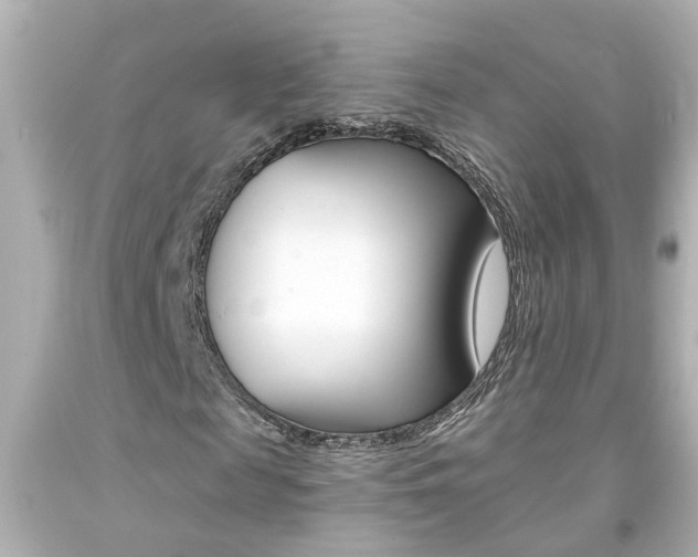 X0000094380817200711020823