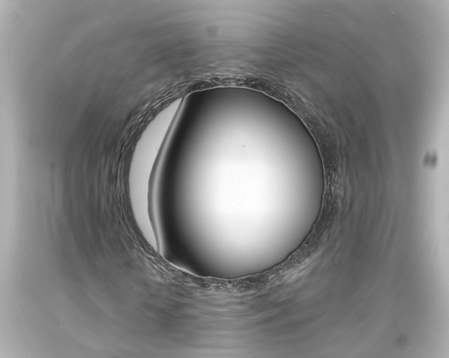 X0000094380818200711020823