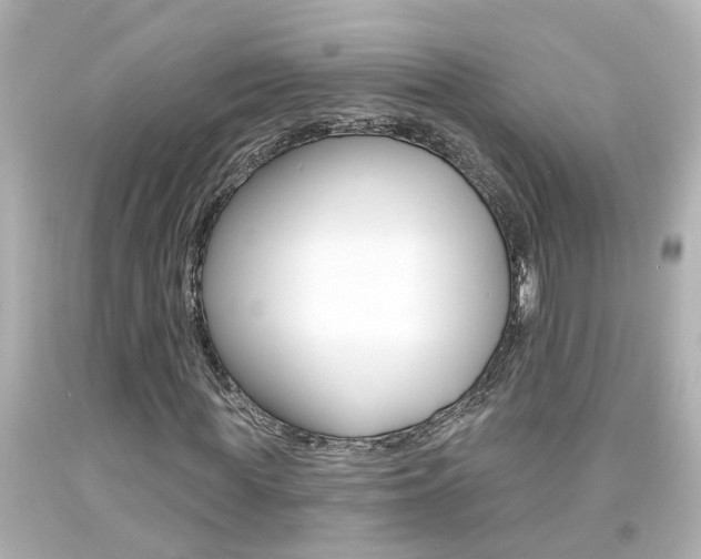 X0000094380819200711020823