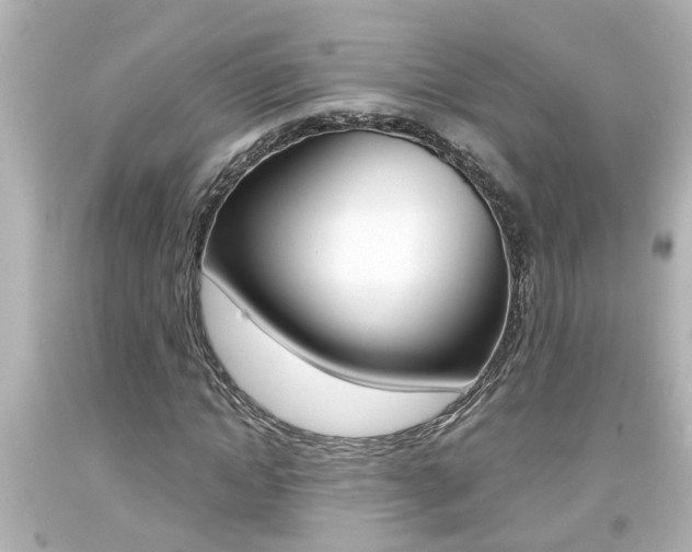 X0000094380822200711020823