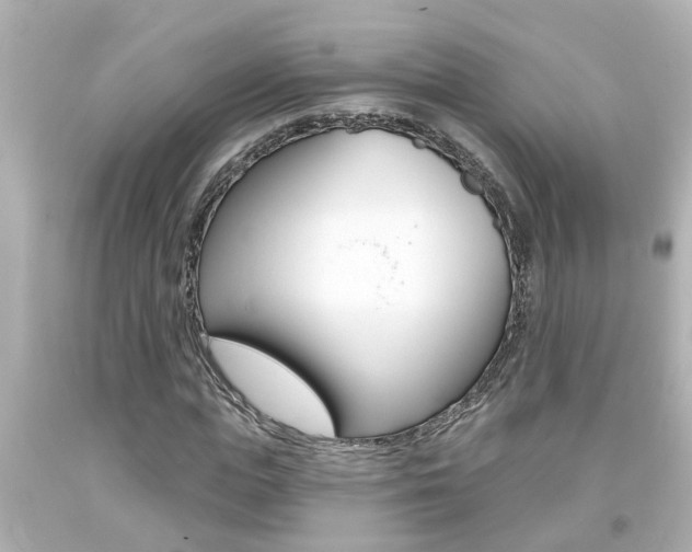X0000094380823200711020823